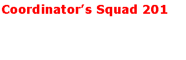 Text Box: Coordinators Squad 201